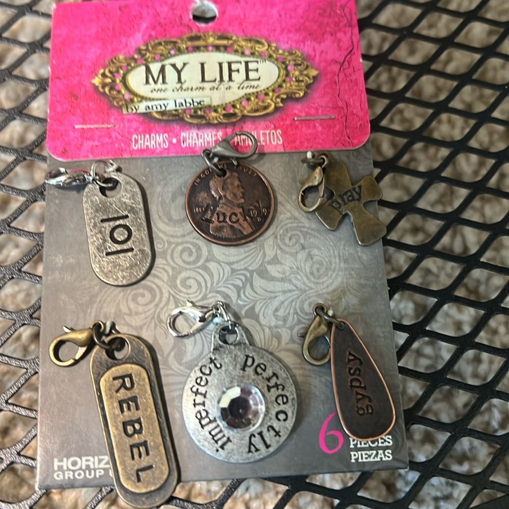 My Life by Amy Labbe Charm Set